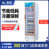 雪亮饮料展示柜冷藏保鲜柜立式啤酒柜商用冰箱单双门冰柜超市冷柜 商品缩略图0