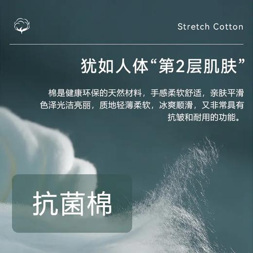 堡马男士翻领短袖百搭POLO衫彩虹T86625323 商品图4