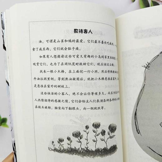 森林报 冬 商品图1