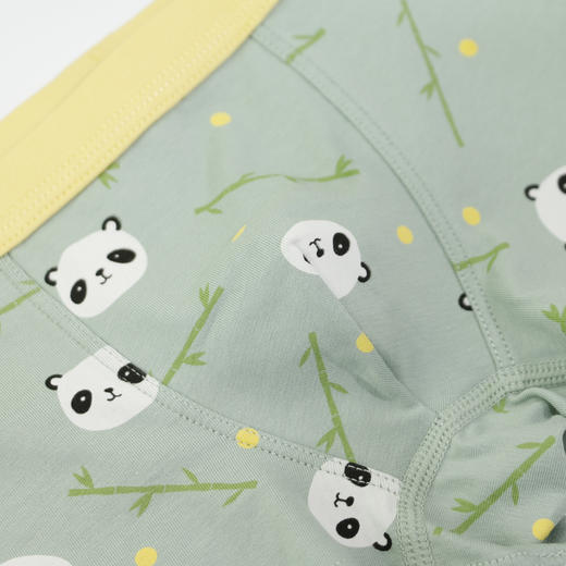 男童【2条装】丨儿童新款混装平脚裤可爱熊猫内裤底裤男童【CSK22301】 商品图2