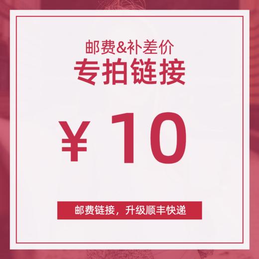 【邮费链接】补差价，使用顺丰快递 商品图0