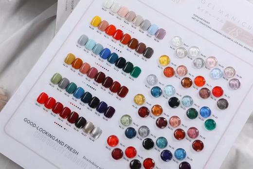 【秒杀价】青禾48色2.0系列 商品图1