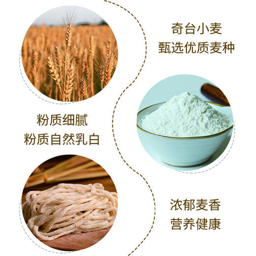 新疆奇台雪花粉  购5kg雪花粉赠送两袋酵母粉 商品图3