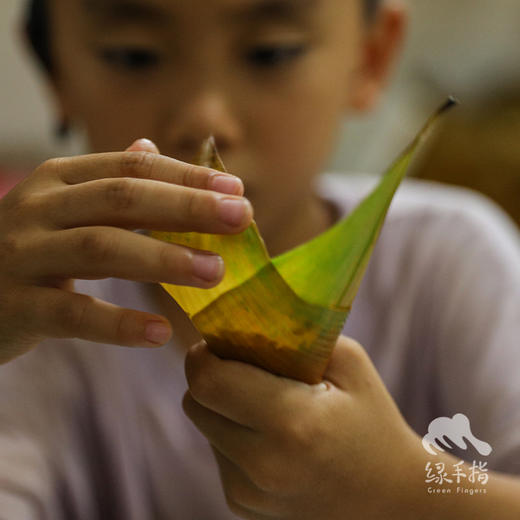 生态粽叶&粽绳  |合作生产* Ecological Cast Leaves &rope | Coproduction 商品图5