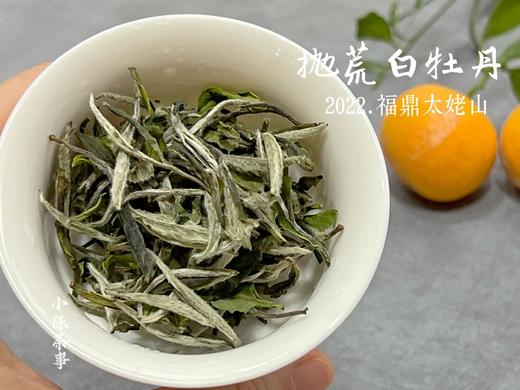【荒野茶的补充】2022抛荒白牡丹，花香温婉、端庄、大气！（100克罐装） 商品图5