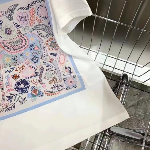 女圆领短T85833 商品图2