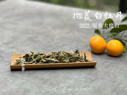 【荒野茶的补充】2022抛荒白牡丹，花香温婉、端庄、大气！（100克罐装） 商品图3