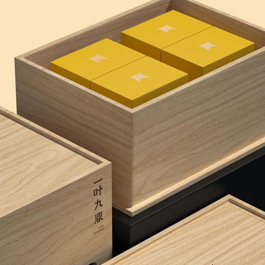 福鼎白茶 | 一叶九鼎 大洋山 炭焙银针【2023-2024】 商品图1