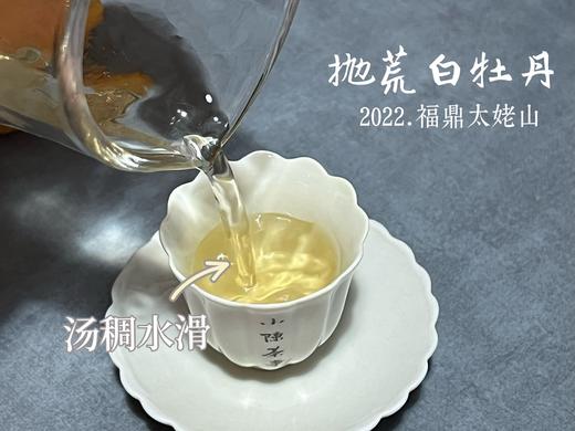 【荒野茶的补充】2022抛荒白牡丹，花香温婉、端庄、大气！（100克罐装） 商品图9