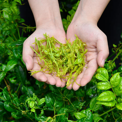 【老顾客散装莓茶特惠链接】新茶 250克/500克包邮 （注：老顾客下单链接！） 商品图4