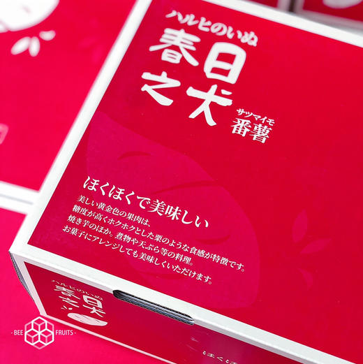 【各方面都优秀】春日之犬番薯，有授权日本“鸣门金时”原种引入的地瓜红薯，未经过任何改良处理的地瓜！ 商品图9