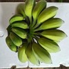 苹果蕉新鲜广西苹果香蕉粉蕉奶蕉蛋蕉9.6斤 商品缩略图1