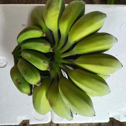 苹果蕉新鲜广西苹果香蕉粉蕉奶蕉蛋蕉9.6斤 商品图1