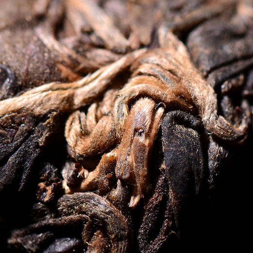 【高货小产区！】百分之99的人还没喝到过正品！岩子头，2016，古树龙珠，紫陶封存！云茶盟主深山老林古树！ 商品图2