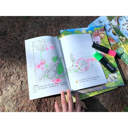 (仓发) 我的自然科学实践书 第一辑/海豚出版社/郭翔/9787511051912 商品图9