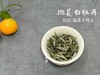 【荒野茶的补充】2022抛荒白牡丹，花香温婉、端庄、大气！（100克罐装） 商品缩略图6