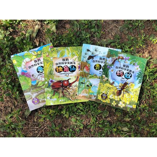 (仓发) 我的自然科学实践书 第一辑/海豚出版社/郭翔/9787511051912 商品图8