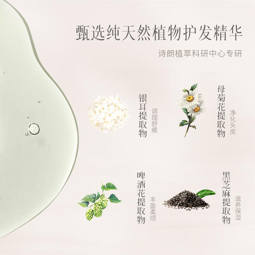 诗朗茶籽净油蓬松洗发露｜【买一送一】轻盈蓬松 温和不伤头皮 浴后0油感 清爽自然蓬 商品图1