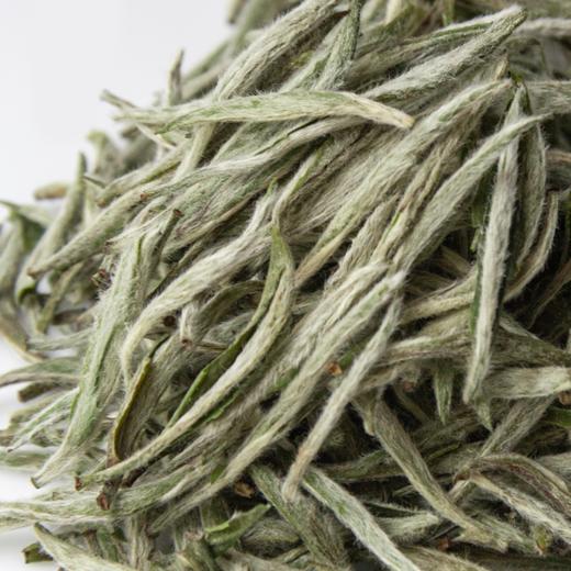 福鼎白茶 | 一叶九鼎 大洋山 炭焙银针【2023-2024】 商品图2