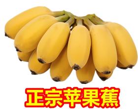 苹果蕉新鲜广西苹果香蕉粉蕉奶蕉蛋蕉9.6斤
