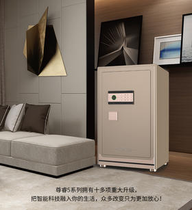 AIPU艾谱智能指纹保险箱家用办公保险柜大型3c认证尊睿指纹电子密码系列入墙全钢高端保险箱