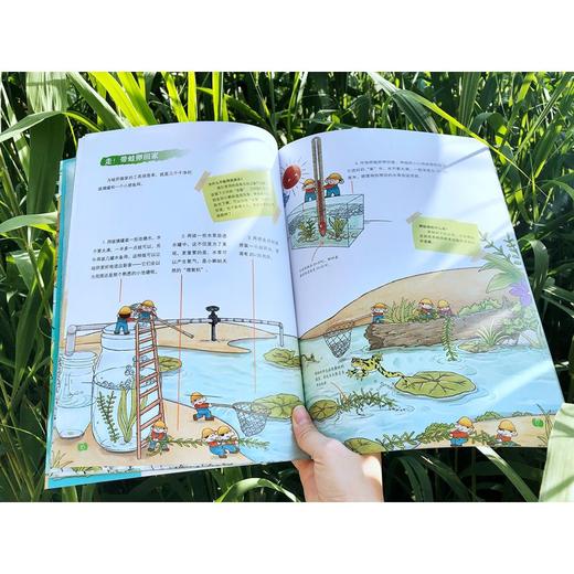 (仓发) 我的自然科学实践书 第一辑/海豚出版社/郭翔/9787511051912 商品图7