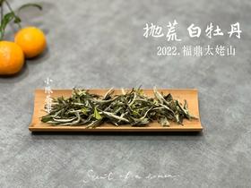 【荒野茶的补充】2022抛荒白牡丹，花香温婉、端庄、大气！（1斤收藏装）