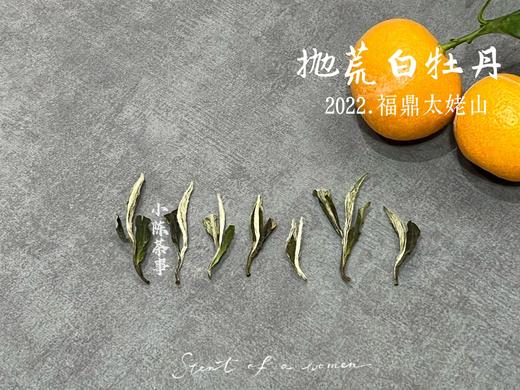 【荒野茶的补充】2022抛荒白牡丹，花香温婉、端庄、大气！（100克罐装） 商品图4