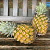 🍍冬蜜凤梨/芒果凤梨双拼🍍甜蜜蜜的冬蜜凤梨   纯甜无酸  肉质细嫩无渣   凤梨味浓 商品缩略图2