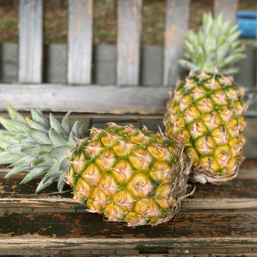 🍍冬蜜凤梨/芒果凤梨双拼🍍甜蜜蜜的冬蜜凤梨   纯甜无酸  肉质细嫩无渣   凤梨味浓 商品图2