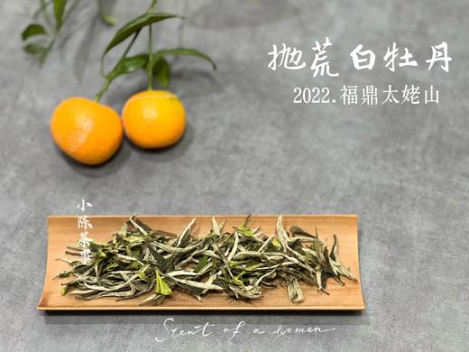【荒野茶的补充】2022抛荒白牡丹，花香温婉、端庄、大气！（100克罐装） 商品图2