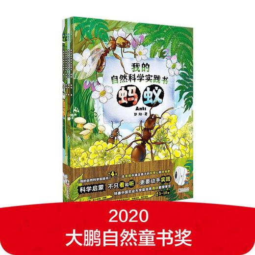 (仓发) 我的自然科学实践书 第一辑/海豚出版社/郭翔/9787511051912 商品图0