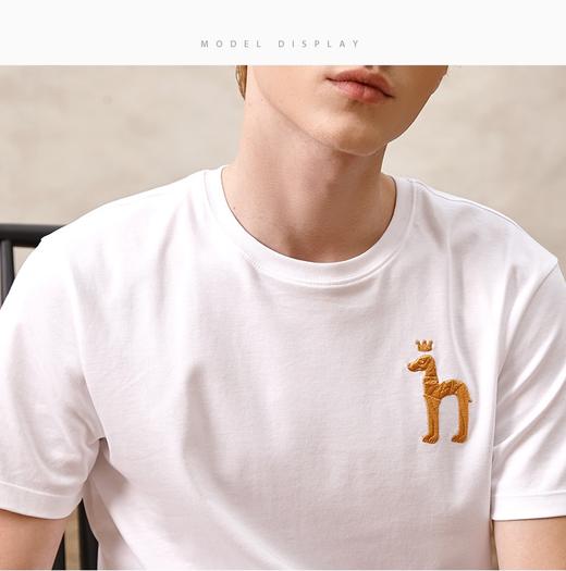 男圆领短T3369 商品图5