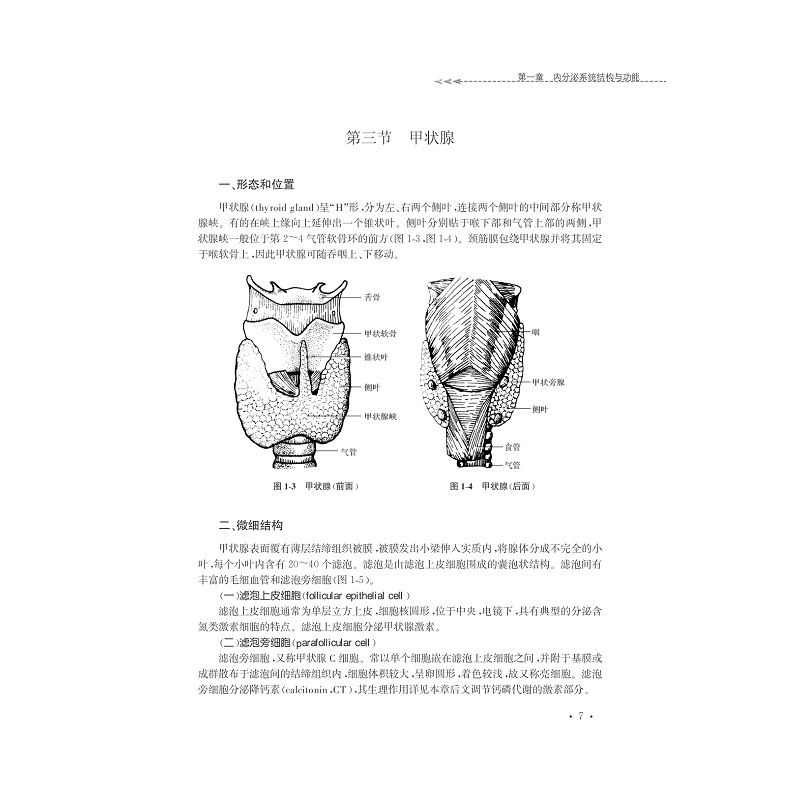 试读PDF-7308147439(1-1)-免疫与内分泌系统疾病病人护理_012.jpg