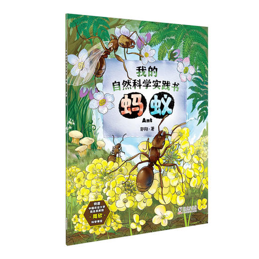 (仓发) 我的自然科学实践书 第一辑/海豚出版社/郭翔/9787511051912 商品图6