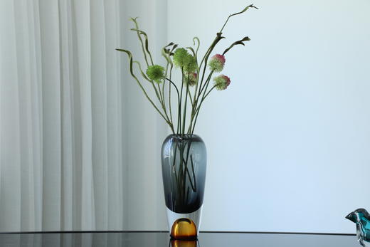 5月新款 双拼色玻璃花瓶 商品图12