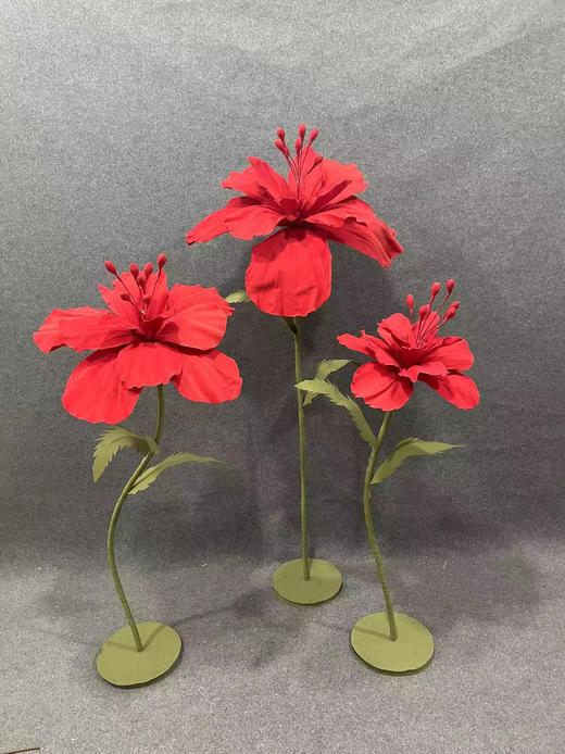 碧珠（运费自理） 商品图0