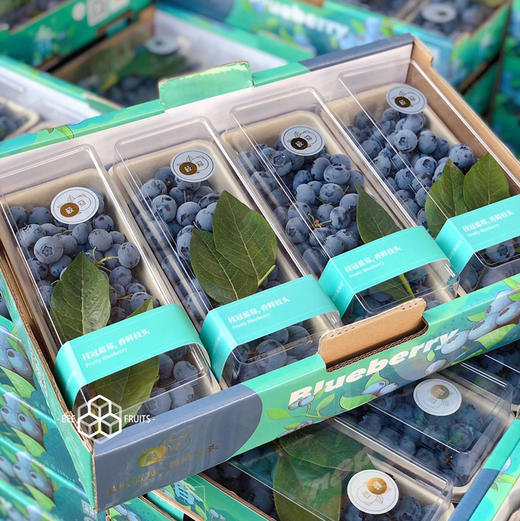 【带枝蓝莓】枝冠 带枝蓝莓，口感纯甜，果粉充足，富含大量花青素 保护眼睛，手机党和小朋友最爱！ 商品图0