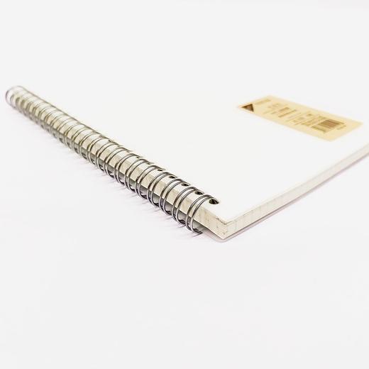 笔记本子A5线圈本小方格内页PP面本子学生课堂笔记考研方格笔记绘图错题简约手帐记事本 商品图6