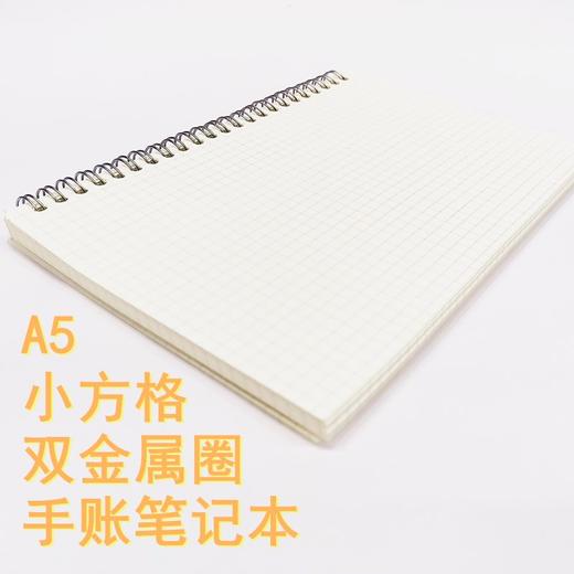 笔记本子A5线圈本小方格内页PP面本子学生课堂笔记考研方格笔记绘图错题简约手帐记事本 商品图0