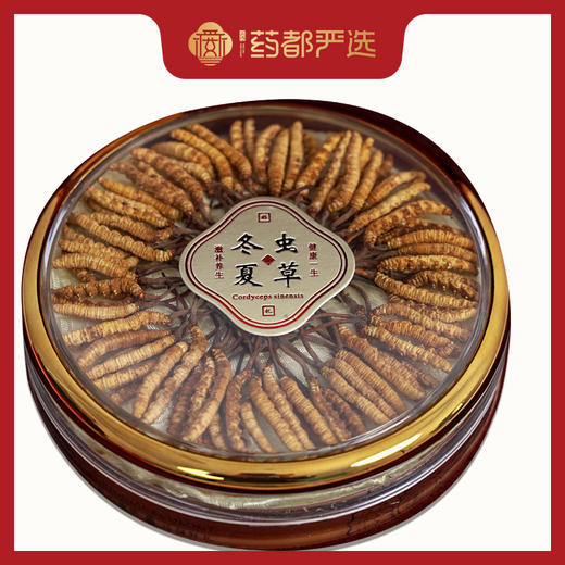 【药都严选】虫草20g礼盒装 商品图0