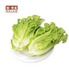 生菜500g/份【GYZH】 商品缩略图0