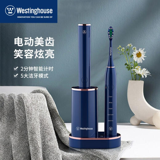 【团购展示】西屋磁悬浮电动牙刷 WL-YS4203 商品图0