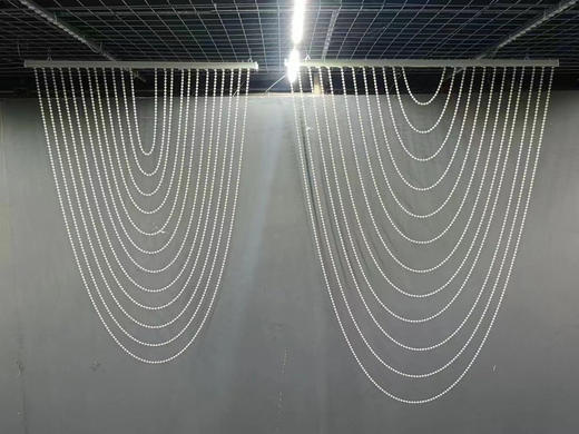 珍珠行云流水（运费自理） 商品图2