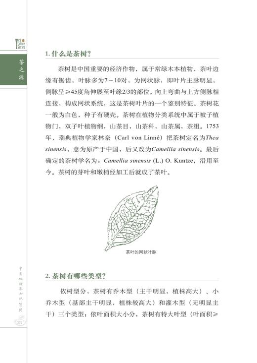 中英双语茶知识100问 【阮建云 周智修  主编】 商品图3
