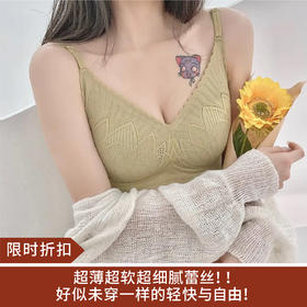 【限时折扣】 法式蕾丝乳木果棉睡眠无钢圈文胸 （非质量问题不退不换）