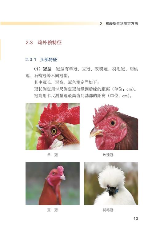 鸡遗传资源精准评价 9787109292208 小鸡 公鸡 母鸡 家禽 蛋鸡 肉鸡 种苗 鸡苗 商品图3