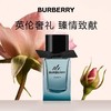 博柏利（BURBERRY）先生元素男士淡香水 商品缩略图0
