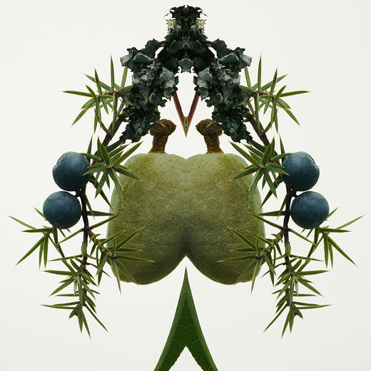 博柏利（BURBERRY）先生元素男士淡香水 商品图5