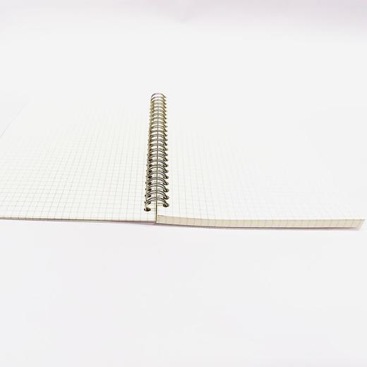 笔记本子A5线圈本小方格内页PP面本子学生课堂笔记考研方格笔记绘图错题简约手帐记事本 商品图12
